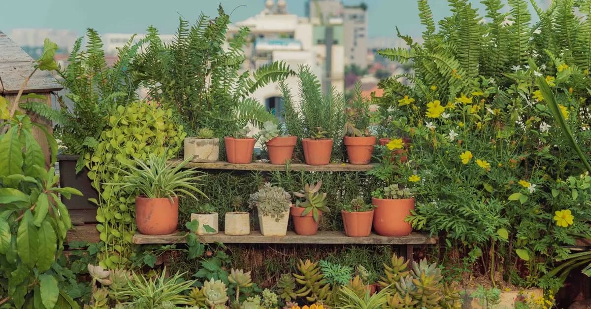 Évolution du Micro-Jardinage Urbain : Quoi de Neuf en 2026