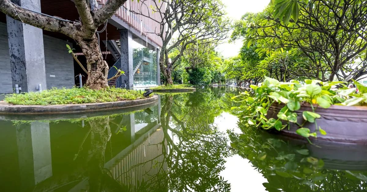 Aménagement Durable : Comment créer un Écosystème Urbain dans Votre Micro-Jardin