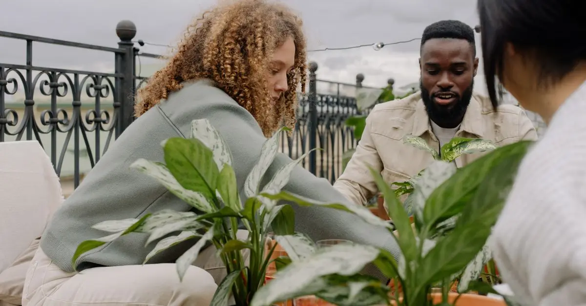 Micro-Jardinage : Importance de l'Observation