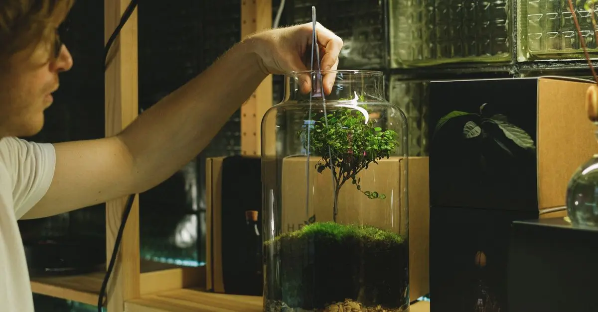 Quoi Planter Dans Votre Micro-Jardin en Octobre ?