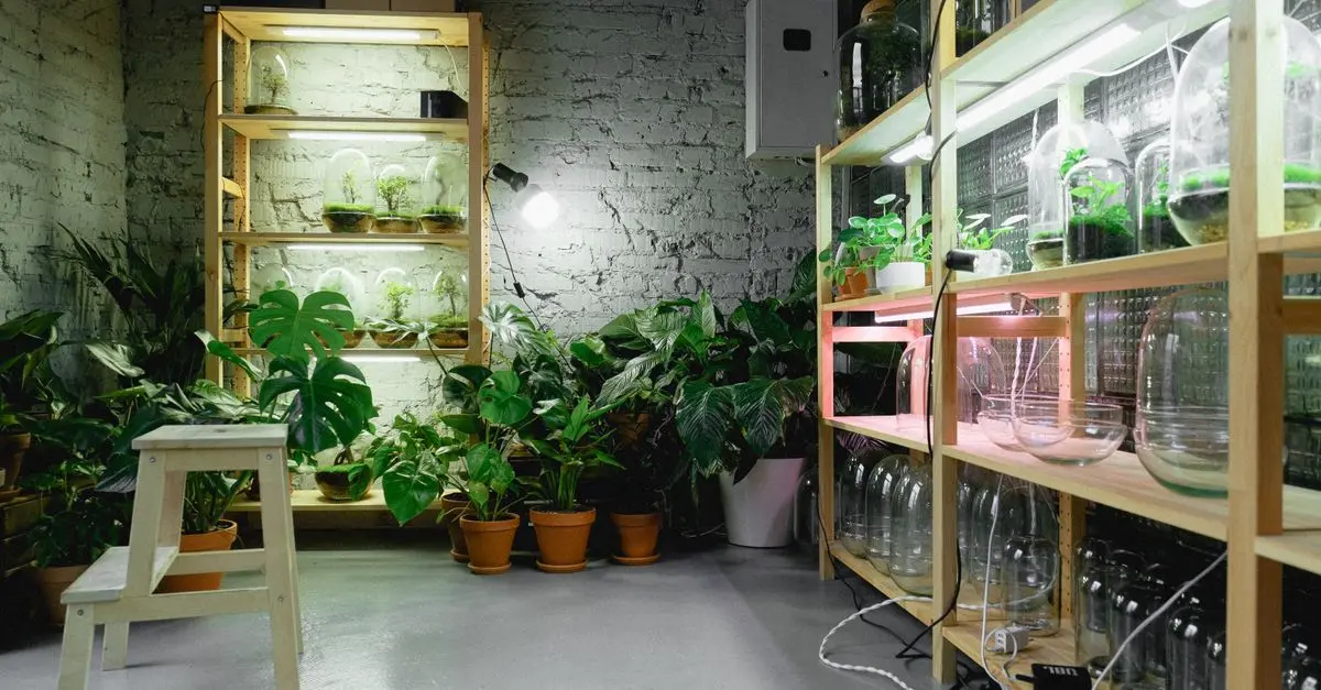 Micro-Jardinage en Intérieur: Astuces et Conseils