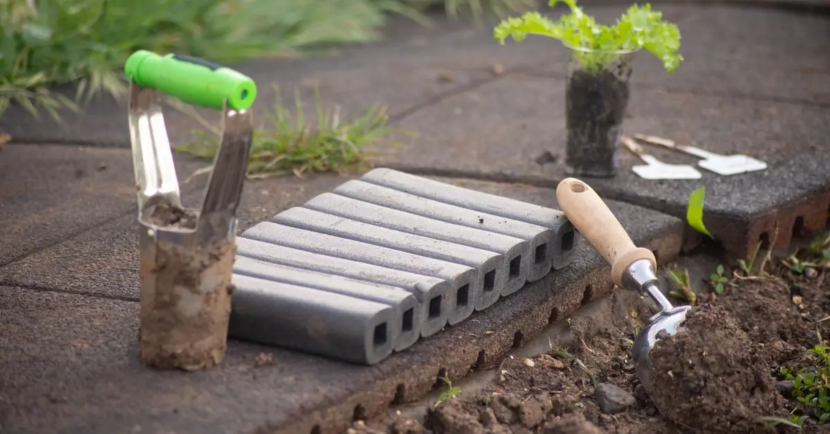 Travailler le Sol de Votre Micro-Jardin Urbain