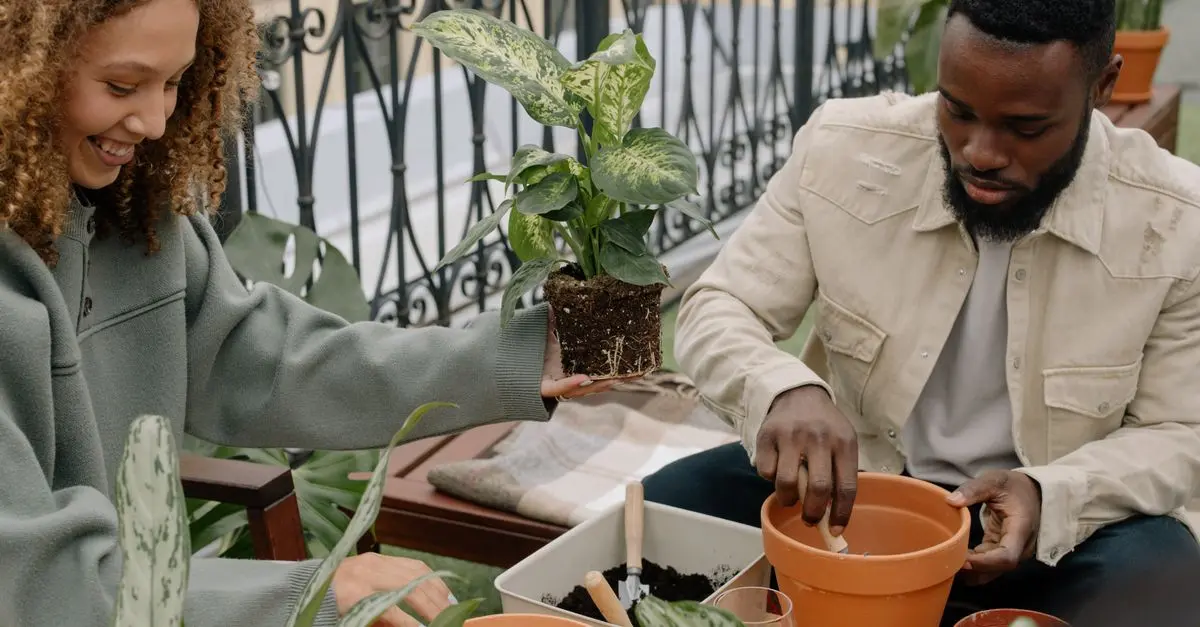 Outils Essentiels pour le Micro-Jardinage Urbain