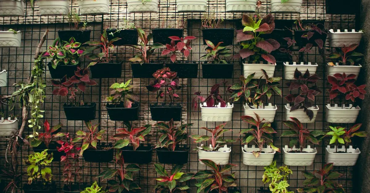 Tendances du Micro-Jardinage en Milieu Urbain en 2026