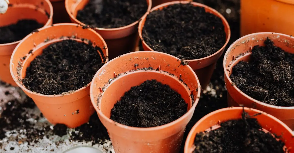 Micro-Jardinage Urbain : Maximiser l'Espace de Cultures