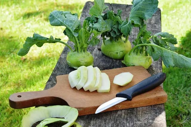Micro-Jardinage en Milieu Urbain : Avantages et Conseils Pratiques
