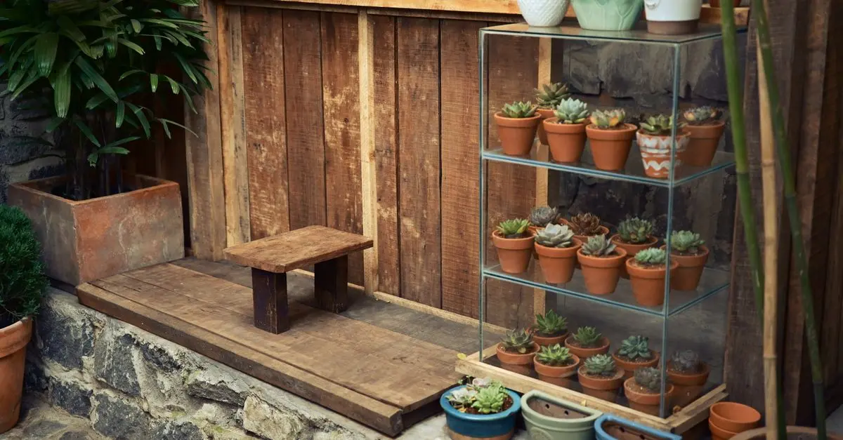 Meilleures Pratiques pour Entretenir Votre Micro-Jardin Urbain