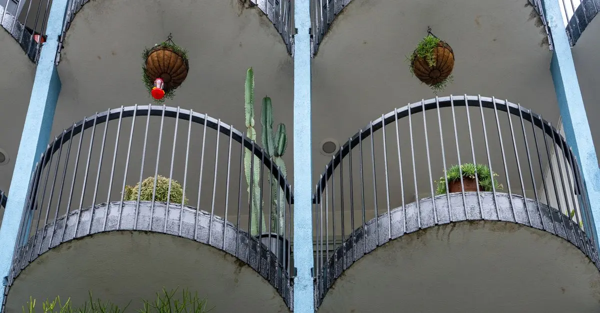 Comparatif : Jardinage en Pots vs Micro-Jardinage