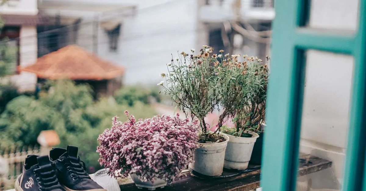 Les Bienfaits du Micro-Jardinage pour la Biodiversité Urbaine