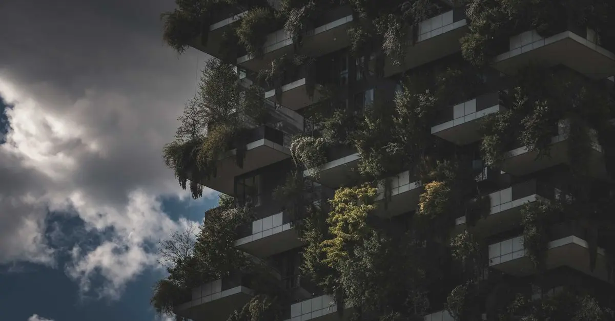 Créer un Mur Végétal à Partir d’un Micro-Jardin