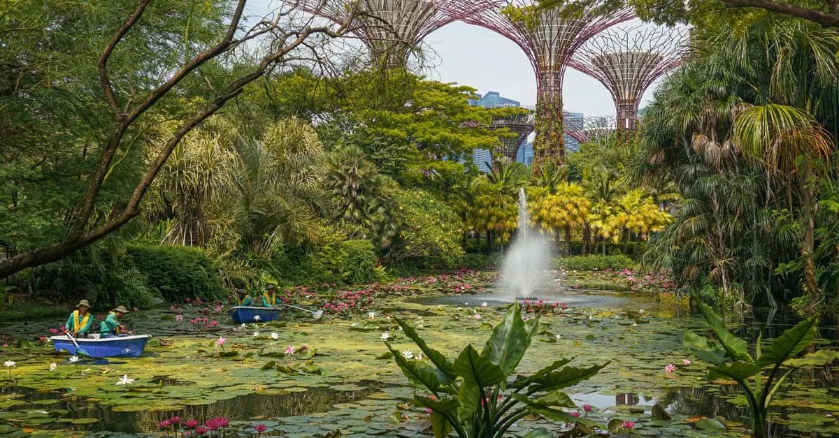 Initiation au Micro-Jardinage en Milieu Urbain