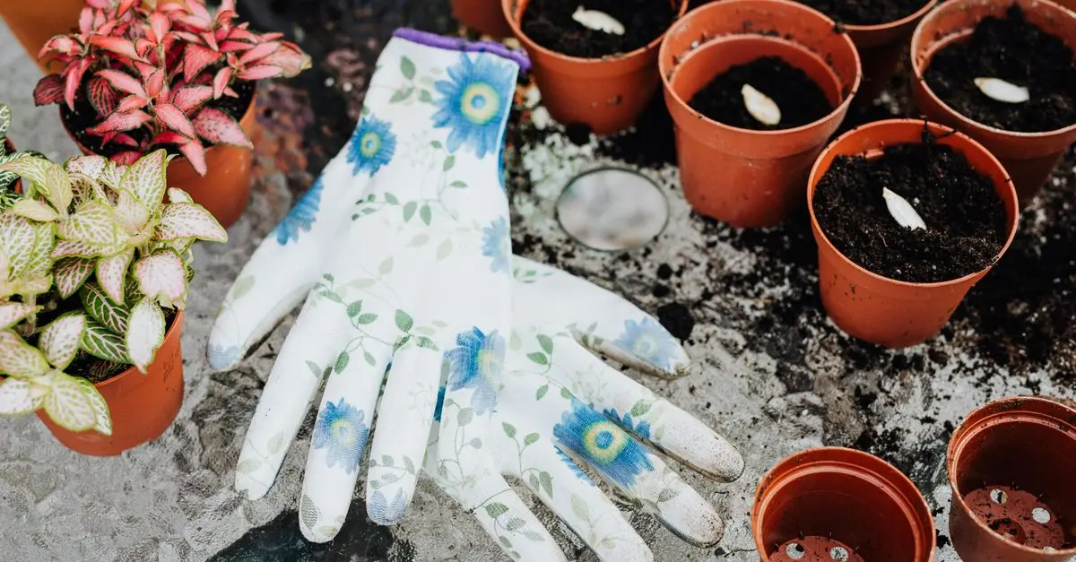 Les Meilleures Pratiques pour Réussir Votre Micro-Jardinage