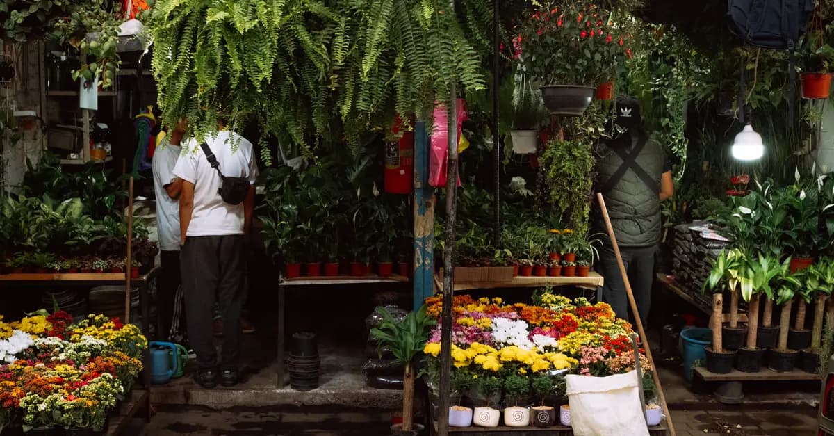 7 Astuces pour Prendre Soin de Votre Micro-Jardin Urbain