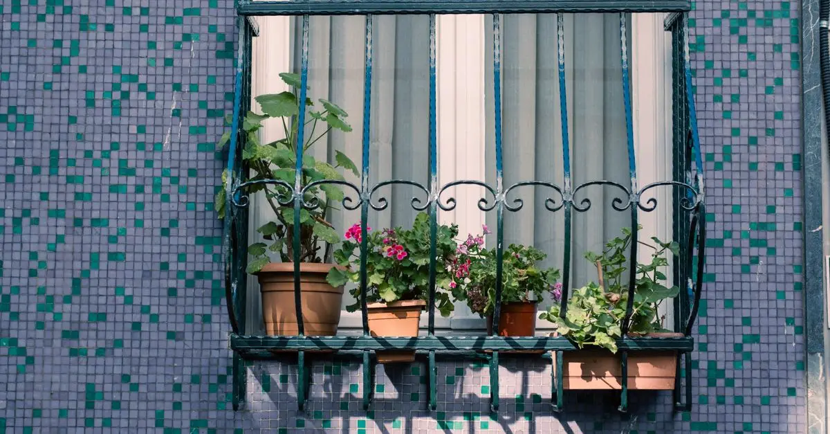 Aménager un Micro-Jardin pour Petits Espaces Urbains