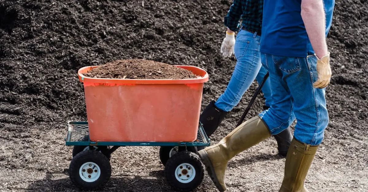 Fertilisation Naturelle : Nos Conseils Pour Micro-Jardin