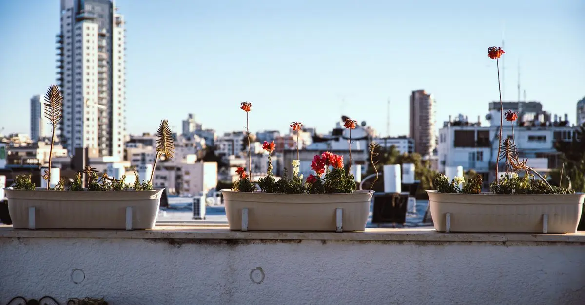 Les Contenants Idéals pour Micro-Jardinage en Ville