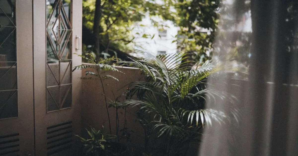 Comment Commencer un Micro-Jardin sur un Balcon