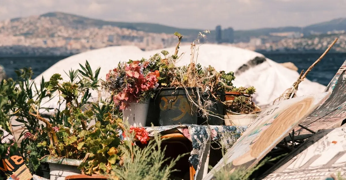 Explorer les Jardins Urbains Communautaires