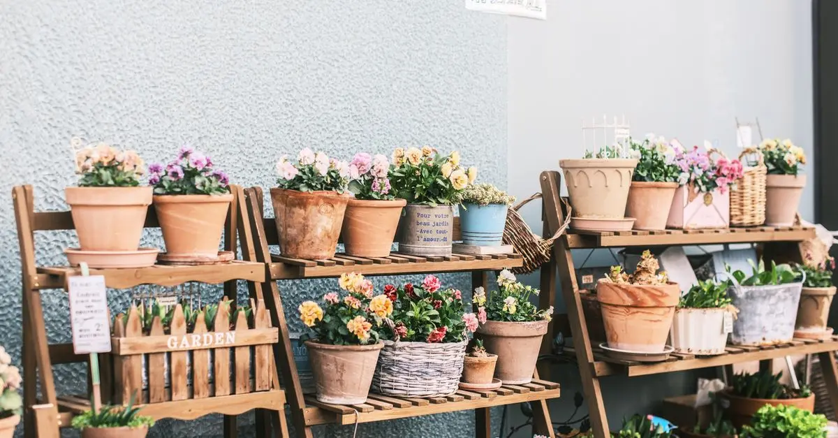 Comment Choisir les Plantes Parfaites pour Votre Micro-Jardin