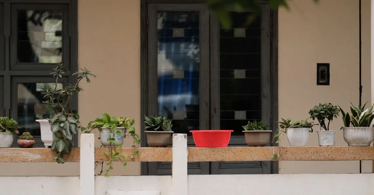 10 Astuces pour Réussir votre Micro-Jardinage en Ville