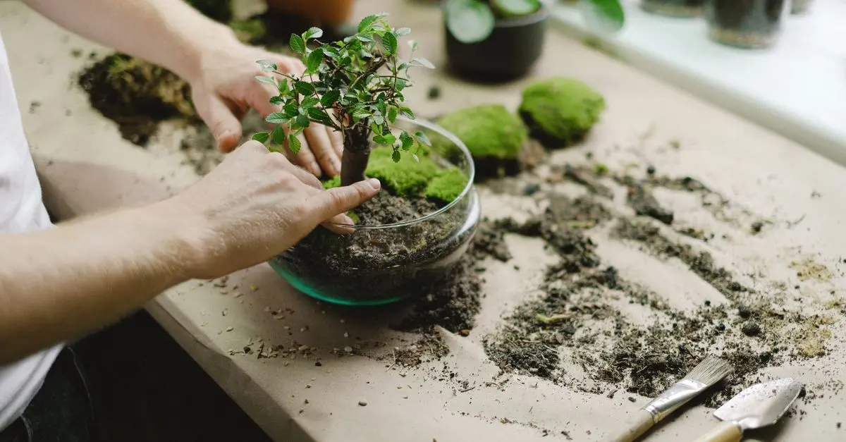 Comment Choisir un Terreau Écolo pour Micro-Jardins