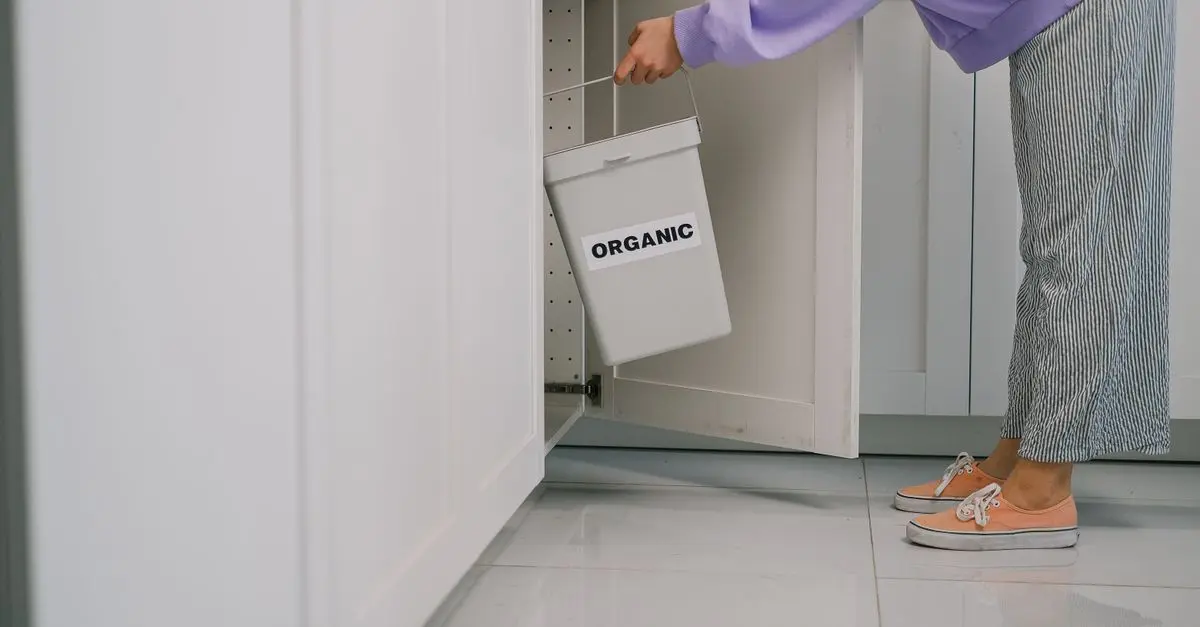 Zoom sur le Compostage Urbain pour Micro-Jardins